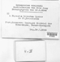 Image Associated With the Occurence